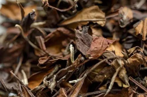 这些夏天的喝茶小常识你知道多少,炎热的夏天喝点清凉的茶