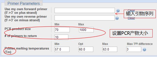 pcr引物设计软件优缺点,idt的在线引物设计工具