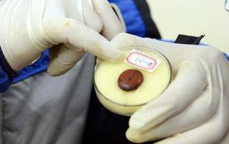 十大最恐怖的琥珀,琥珀造假大揭秘