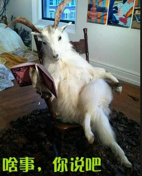 高考作文表情包和文体,高考万能作文图片