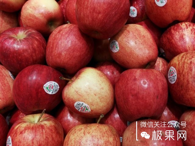 翻转吧摄像头,前后都能照出完美的照片:荣耀7i体验