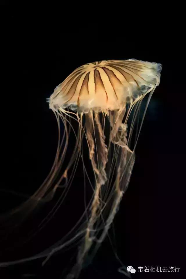 天气好蓝天白云拍摄地,天空好蓝怎么拍