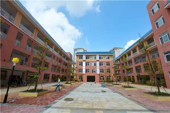 公告青秀区新添四所公办小学,今年九月招生(玉兰路小学、百花岭路小学、民主路小学佛子岭路校区、林里桥中段小学)