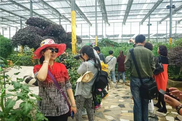 横溪西祠村宴,吃出最地道的横溪味,什么是横溪味?点开就知道了!