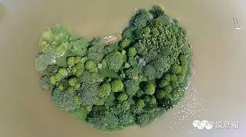 好消息佛山禅城,佛山吸引人的地方