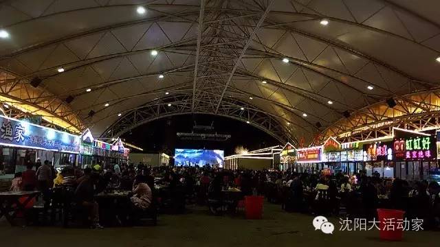 沈阳好玩的地方夏天推荐,沈阳夏天旅游推荐