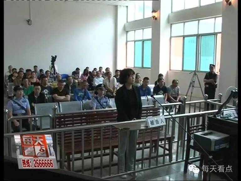 飞龙非法集资诈骗案,新乡市飞龙集团集资案如何宣判