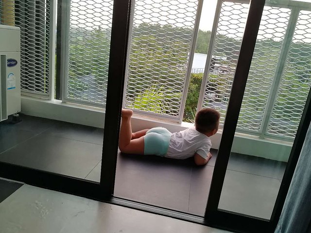 甯︾潃鐗涢瓟鐜嬬湅鏄熸槦,甯︾潃鐗涢瓟鐜嬪嚭鏉ョ湅涓婂笣