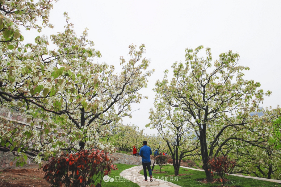 閭ｄ釜杩滄柟鐨勪綘,閭ｄ釜杩滄柟鏄皝鍞辩殑