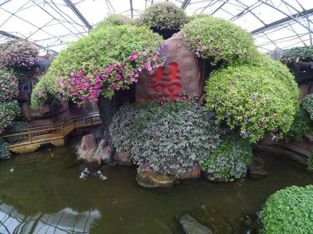 带上小蚁运动相机游潍坊（三）寿光菜博会