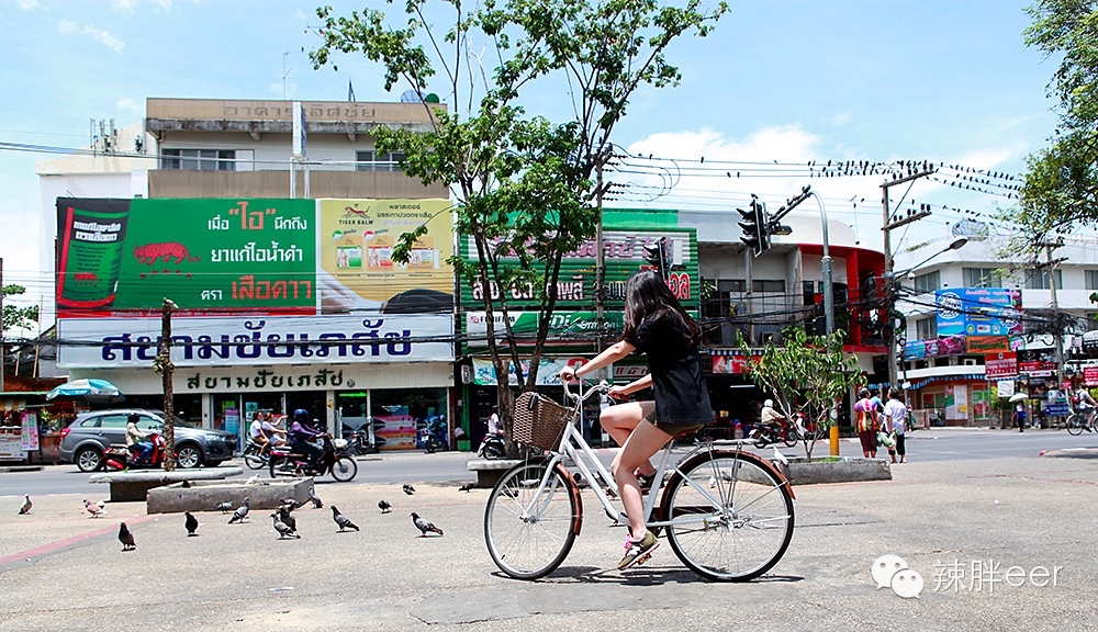 冬天旅行去温暖的地方,冬天旅行最好的时光