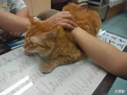 看魔兽视频,去看魔兽电影