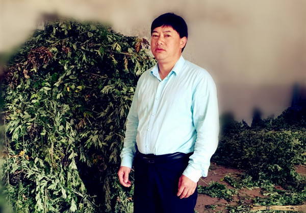 蕲艾文化节专题④▏是这些人敬艾为宝，才让蕲艾成为传奇！