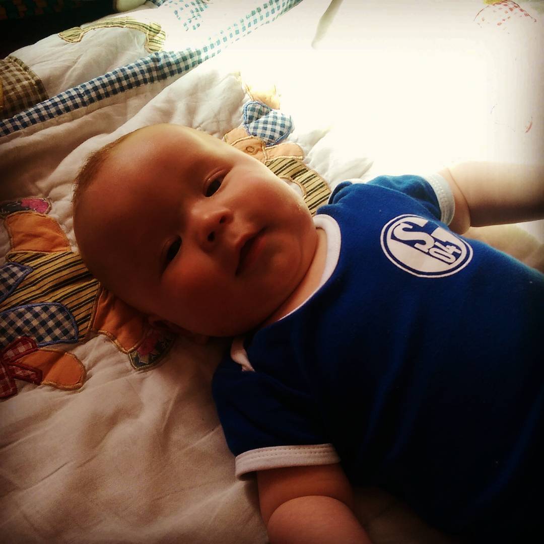 表白爱意,最强沙尔克04