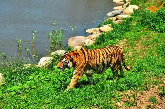 上海地铁沿线好玩的地方,上海18号线沿线景点