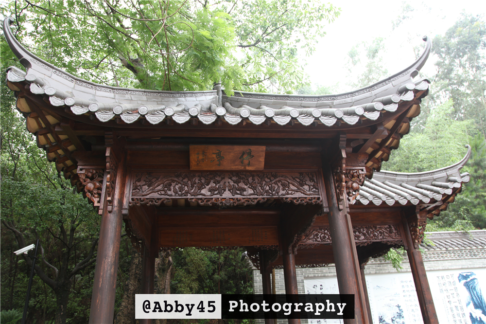 东莞长安铂尔曼酒店,东莞君源铂尔曼酒店