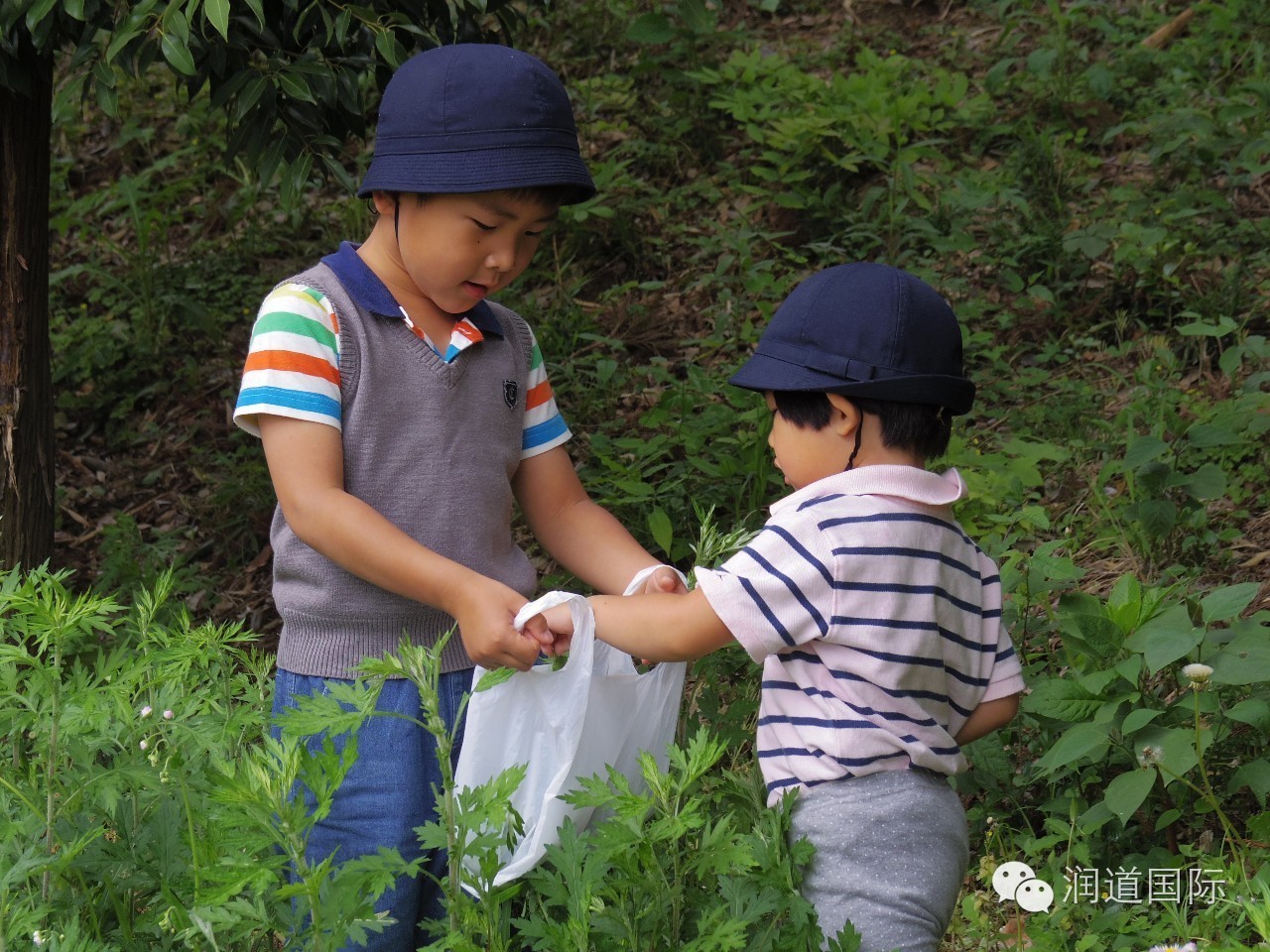 风之谷幼儿园教育特色,风之谷幼儿园青海