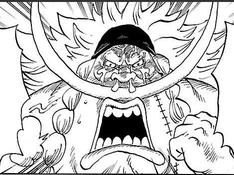 海贼王所有王下七武海实力排名,七武海全部人物实力排名