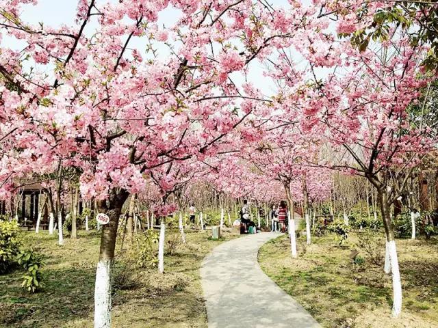上海地铁沿线好玩的地方,上海地铁14号线沿线景点