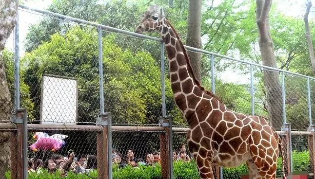 园林卡和惠民休闲年卡,苏州园林卡和休闲卡价格