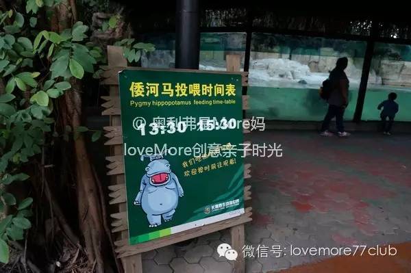 一日游广州长隆野生动物园攻略,广州长隆野生动物园自由行攻略