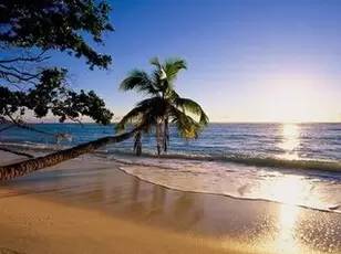 今日财经频道直播,财经今日