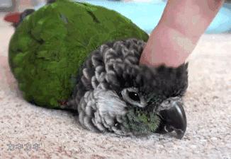 旅行美学收纳包,创意美学旅行收纳袋