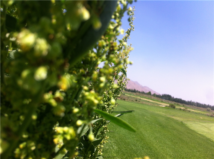 重回巴彦淖尔：八百里河套我用三天走过，十四年之痒我于一夕安放