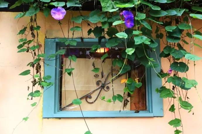 在东野圭吾的故乡大阪，真的有能解忧的杂货店