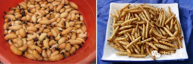 这50道美食你都吃过几种,盘点你看了馋又不敢吃的美食