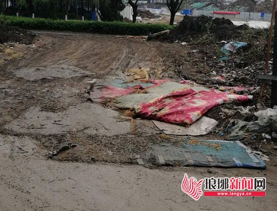 临沂滨河大道风景,临沂城市景观哪里最好看