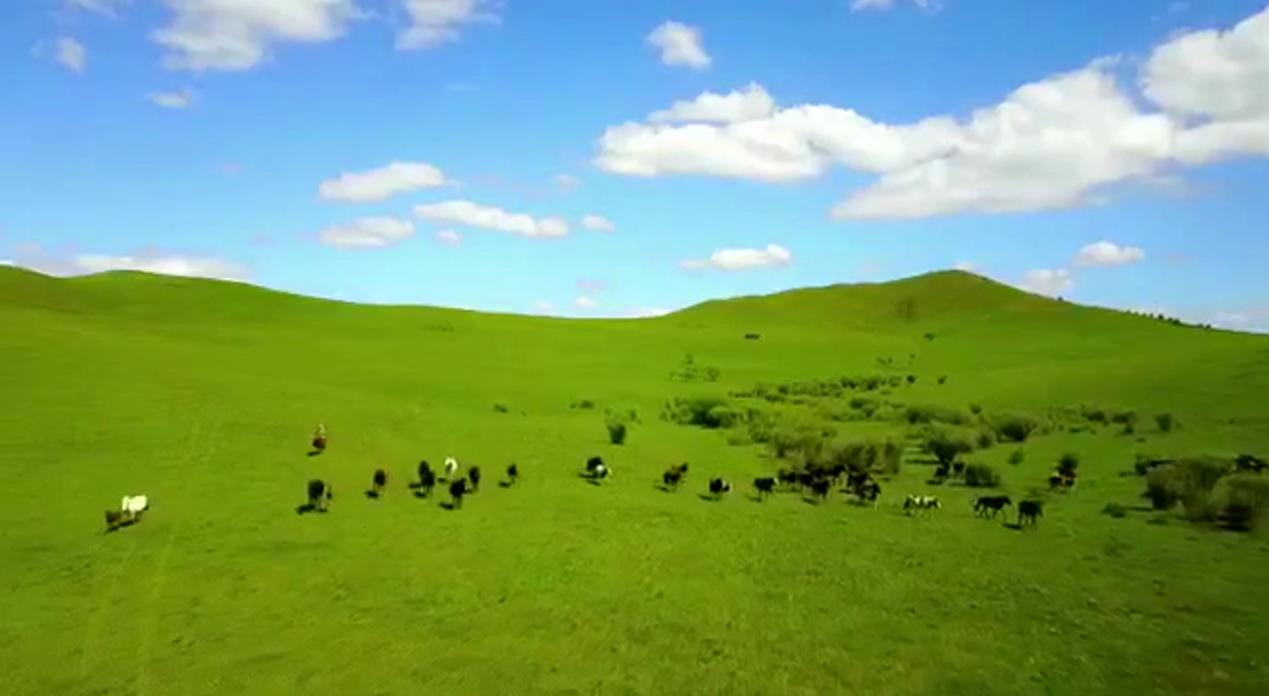 大武口呼伦贝尔风情园烤全羊团购,呼伦贝尔旅游必吃的十大特色美食