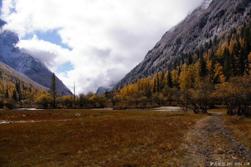 古道，细雨，暮雪-我的长坪沟半截秋色之旅
