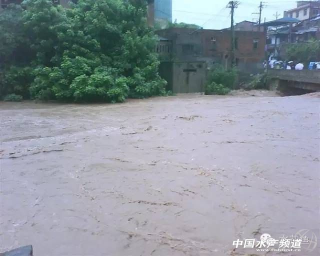 养殖池塘水体浑浊会导致缺氧吗,养殖池塘缺氧有哪几种原因