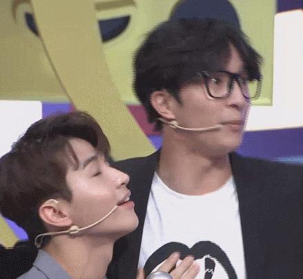 薛之谦撒贝宁综艺节目是什么,明星打假名场面薛之谦撒贝宁