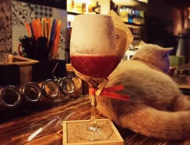 欧洲杯酒馆,欧洲杯酒吧看球视频