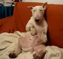 各版本凌波微步,凌波微步原来这么厉害