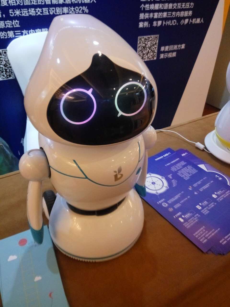 全球首款家庭智能陪护机器人“大智”正式亮相