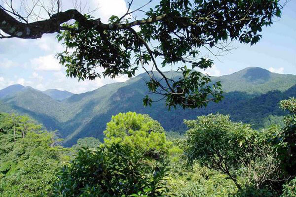 江西三百山国家森林公园,江西安远三百山风景区