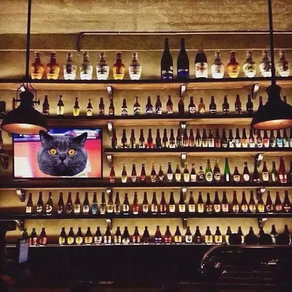 欧洲杯看球夜宵店,苏州欧洲杯看球地方