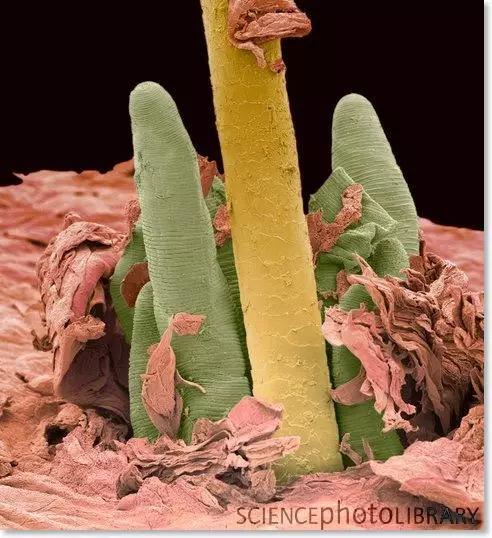 医学人士看图涨姿势系列