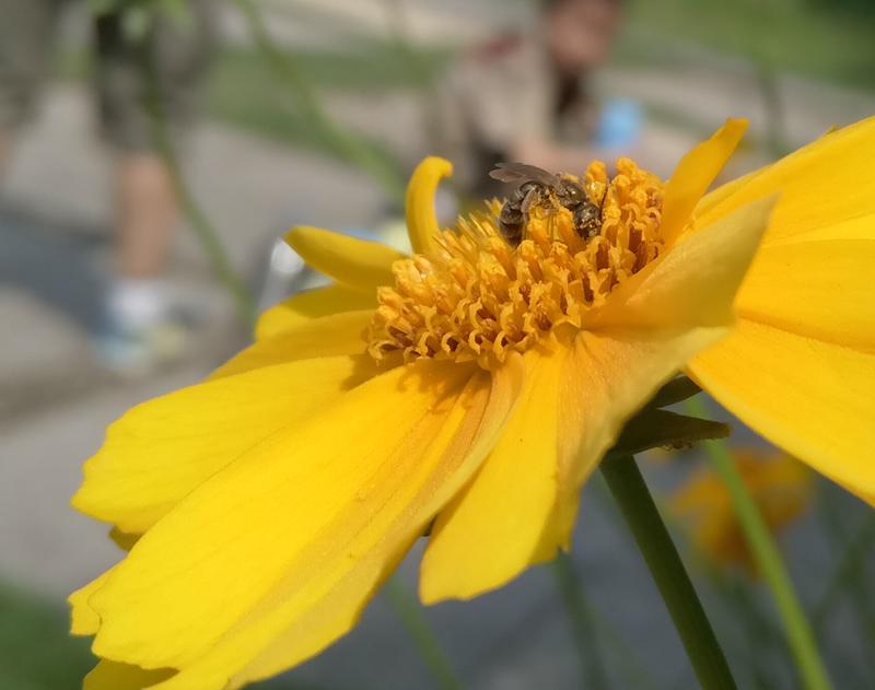 乐视手机2为什么被称为超级手机,乐视2和乐视2pro区别