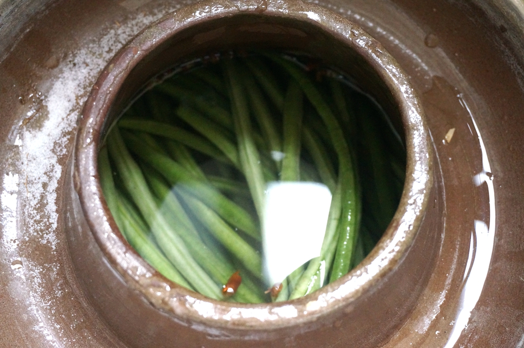 还在吃有防腐剂的酸豇角吗？跟我来学，保你5天吃上自制酸豇豆！