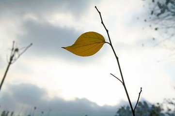 温二哥抖音号,温二哥游戏