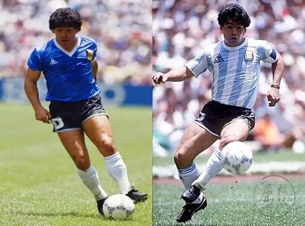 puma和adidas哪个比较受欢迎,阿迪达斯和puma是不是一个牌子