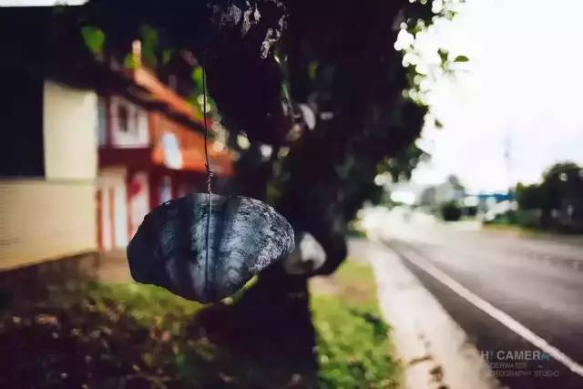 帕劳旅游景点视频,帕劳旅游真实生活