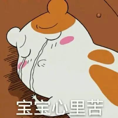 活动假牙戴不住，种植牙又嫌贵该怎么办？