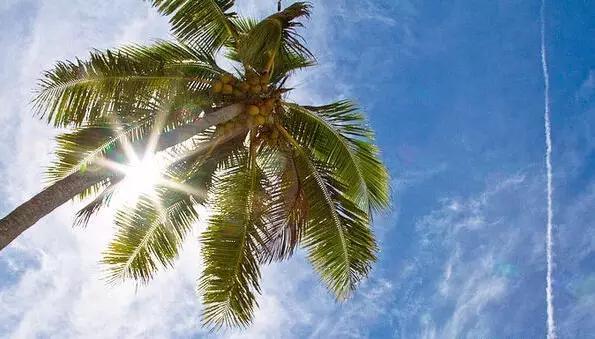 又有一个神秘岛国对中国免签,这个以胖为美的国家,美到极致!