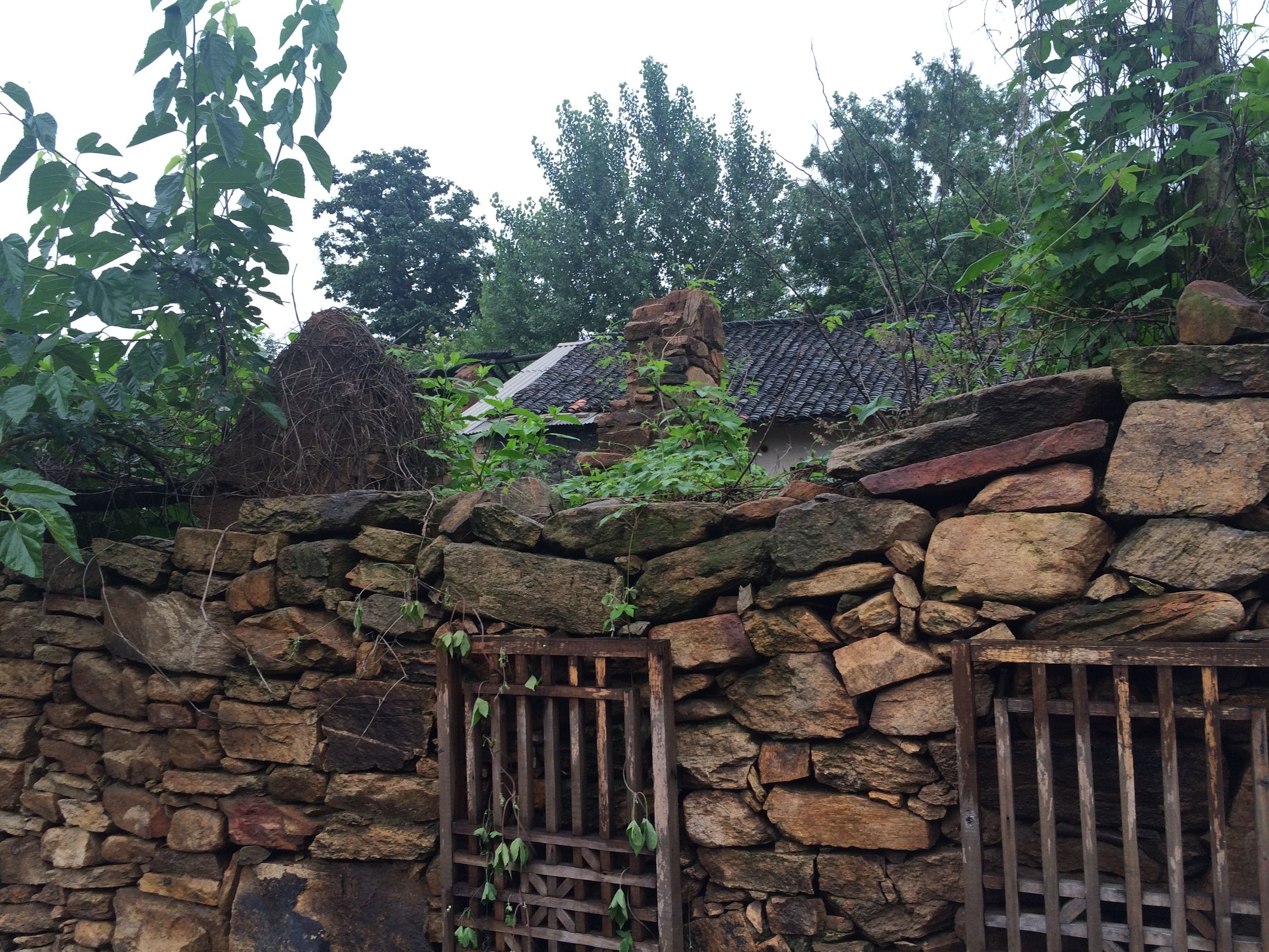 大美中国随州旅游攻略,灵秀湖北千湖之地