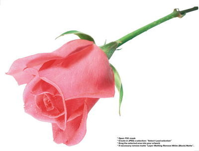 那年我妈妈的*麻疹荨**是这样好的，我大家提供治疗的方法。